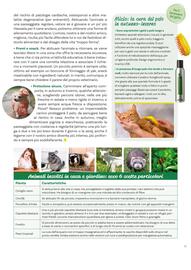 Volantino Viridea Pagina 41