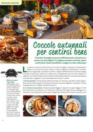 Volantino Viridea Pagina 42