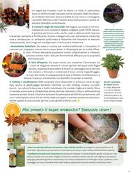 Volantino Viridea Pagina 43