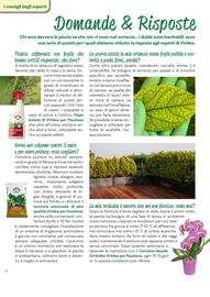 Volantino Viridea Pagina 44