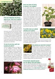 Volantino Viridea Pagina 46