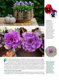 Volantino Viridea Pagina 5