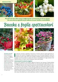 Volantino Viridea Pagina 8