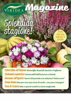 Volantino Viridea (valido fino al 22-12)