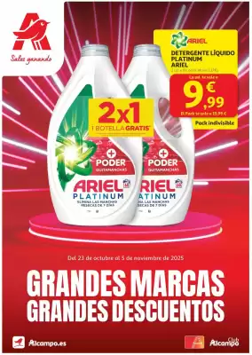 Folleto Alcampo (válido hasta el 5-11)