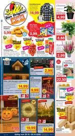 Wiglo Wunderland Prospekt woche 43 Seite 1