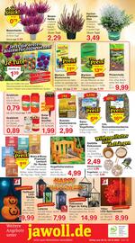 Wiglo Wunderland Prospekt woche 43 Seite 12