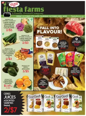 Fiesta Farms flyer (valid until 23-10)