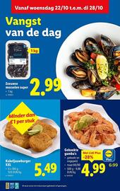 Lidl folder week 43 Pagina 16