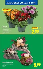 Lidl folder week 43 Pagina 56