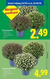 Lidl folder week 43 Pagina 57