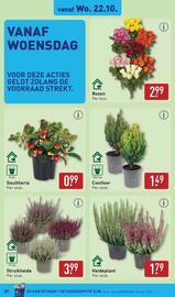 ALDI folder week 43 Pagina 27