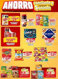 Folleto Soriana Mercado Página 10