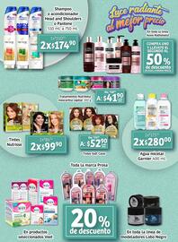 Folleto Soriana Mercado Página 17