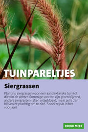 Intratuin folder week 43 Pagina 12