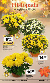 Netto gazetka tydzień 43 Strona 7