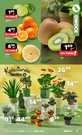 Netto gazetka tydzień 43 Strona 9