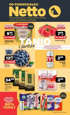 Netto gazetka (ważność do 25-10)