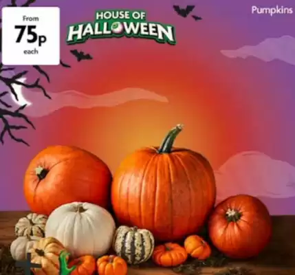 Morrisons leaflet (valid until 11-11)