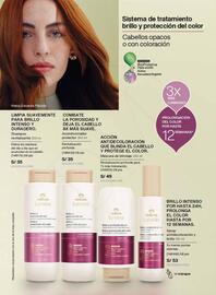 Catálogo Natura Página 145