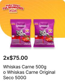 Catálogo OXXO Página 100