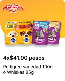 Catálogo OXXO Página 120