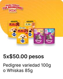 Catálogo OXXO Página 79