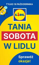 Lidl gazetka Strona 1
