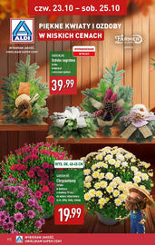 ALDI gazetka tydzień 43 Strona 32