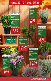 ALDI gazetka tydzień 43 Strona 33