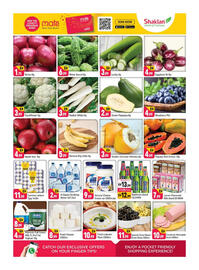 Shaklan leaflet Page 2