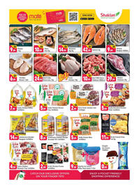 Shaklan leaflet Page 3