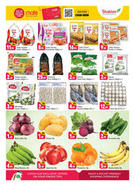 Shaklan leaflet Page 4