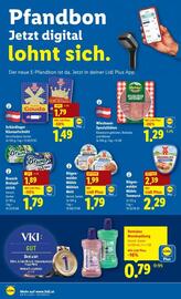 Lidl Flugblatt woche 43 Seite 13
