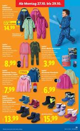Lidl Flugblatt woche 43 Seite 36