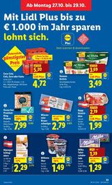 Lidl Flugblatt woche 43 Seite 40