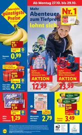 Lidl Flugblatt woche 43 Seite 47