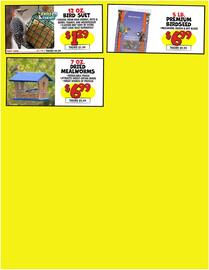 Ollie's weekly ad Page 3