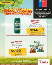 Catálogo Super Ganga Página 5