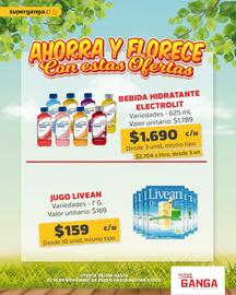 Catálogo Super Ganga Página 7