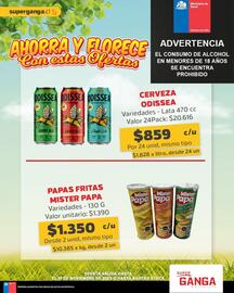 Catálogo Super Ganga Página 8