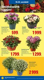 Lidl akciós újság hét 43 Oldal 18