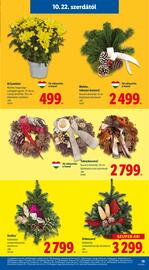 Lidl akciós újság hét 43 Oldal 19