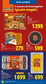 Lidl akciós újság hét 43 Oldal 24