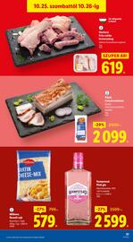 Lidl akciós újság hét 43 Oldal 37