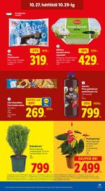 Lidl akciós újság hét 43 Oldal 53