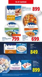 Lidl akciós újság hét 43 Oldal 61