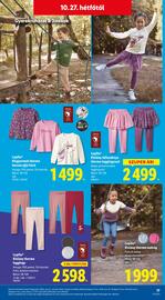 Lidl akciós újság hét 43 Oldal 17