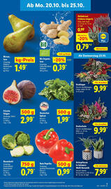 Lidl Prospekt woche 43 Seite 3
