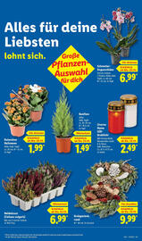 Lidl Prospekt woche 43 Seite 49